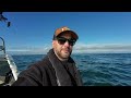 Anglesey Shark Hunt - Solo On My Warrior 165 - Small Boat Sea Fishing