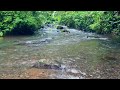 The sound of river water and the melodious chirping of birds in the tropical forest, Relaxation,ASMR