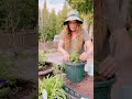 Greenhouse Sauna and Flowers Too! 🌺🌷🌻