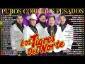 PUROS CORRIDOS PESADOS DE TIGRES DEL NORTE 💖 LOS TIGRES DEL NORTE CORRIDOS PROHIBIDOS ALBUM COMPLETO