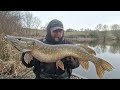 PIKE FISHING WITH DEADBAITS