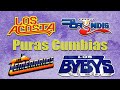 Bryndis, Temerarios, Acosta, Bybys Puras Cumbias