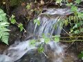 A babbling brook in south Devon