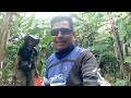 Double strike mancing ikan lele monster || umpan jitu mancing ikan di sungai liar