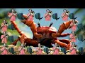 Crab Rave | Monstercat | DTG