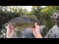 Fishing A Rat Lure For River Smallmouth