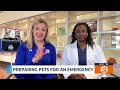 Preparing Pets for Natural Disasters