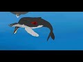 Humpback Whale vs sperm whale dc2 animation