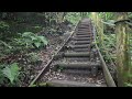 Walking Kamakura Forest at Early Morning | Nature Sounds and Cozy Ambience