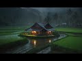 Sound of Heavy Rain in Indonesian Rice Field for Deep Sleep & Meditation