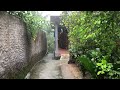 Heavy Rain and Strong Thunder Village Life in Indonesia | Walk in Beautiful and Cool Country Life