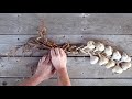 How to Braid Garlic (hardneck or softneck)