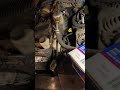 Engine Coil Removal and replacement