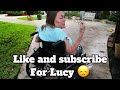 The True Story About Lucy!! (Gorilla Tag VR)