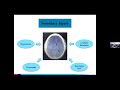 Medical Student Lecture Series: Neurotrauma with Zachary L. Hickman, MD