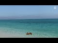 شاطئ ألمينا: بوابة لعالم من الهدوء والإثارة على سواحل جهة تطوان