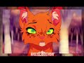 summertime sadness..||ashfur and squirrelflight!|| creds to @LiontrotWCUE for idea!