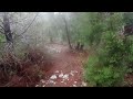 Nature: A short walk in the rain between the trees . 68.الطبيعة جولة قصيرة تحت المطر بين الاشجار