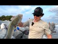 This Inlet was LOADED with Blue Fish: fishing Tips & Tricks!