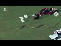 Snake slithers onto pitch during Sri Lankan cricket match