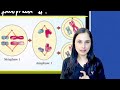Cell Cycle and Cell Division in 20 minutes | 24 marks pakke | NEET 2023 | Gargi Singh
