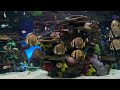 Dream AQUARIUM 4K Underwater Sounds NO Music NO Ads - Fish Tank Underwater Ambience