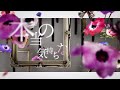 東方神起 / 「No Sympathy」Lyric Video