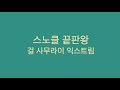 프리다이빙 스노클 고르는법(+ 걸 사무라이 스노클 리뷰)