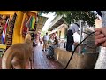 Cash 2.0 Great Dane on historic Olvera Street in downtown Los Angeles