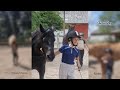 Riding Camp 2023 Week 1: When Horses Choose