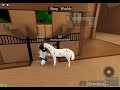 Lili gets kidnapped and trying to find floor/roleplay/roblox:horse world