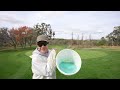 Did I really Paint My Lawn? // Lawn Pigment