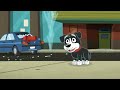 Bad luck (Pound Puppies)