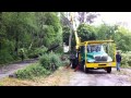 Davey Tree rescues the power line