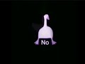 No duck