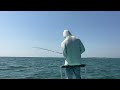 Tailwalking Tarpon on the Pinellas beaches