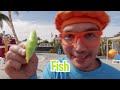 Blippi Visits Soak City Water Park | Educational Videos For Kids