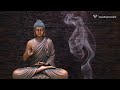 [1 Hour] The Sound of Inner Peace 5 | Relaxing Music for Meditation, Zen, Yoga & Stress Relief