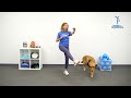 Strength, Agility & Mobility Boosting Workout for People with Parkinson's