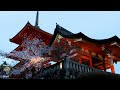 Beauty of Kyoto, Japan in 4K| World in 4K