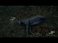 theHunter  Call of the Wild Gold Melanistic Blacktail and 5 - Medium fail