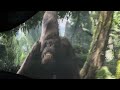 King Kong 360 3D - POV @universalstudioshollywood