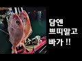 How to catch a tie-shaped banana!Only beginners in Korean red sea bream fishing watch it!