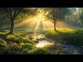 Chill Music to Relax | Discover the Perfect Songs to Relieve Stress and Increase Your Concentration