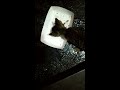 Feeding stray kitten in front of KFC