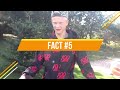 5 SHOCKING Facts about Erling Haaland Lifestyle 2023 | KAI TOPs