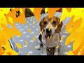 Will a Beagle Destroy Your House if Left Alone?