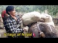 Mountain Village of nepal The pastoral Life of Mountain Village Nepal ll @Village of Nepal