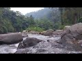 Footage pemandangan alam, hutan, pegunungan, aliran air, sungai, relaksasi no copyright..