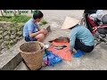 Nam - poor boy:Caught a 4kg carp in an abandoned pond. Orphan Nam's joy when he catches fish to sell